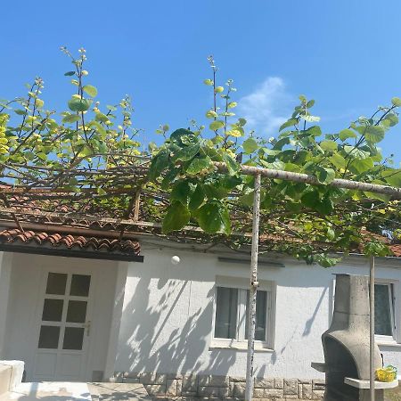 Apartman Nela Apartment Porec Exterior photo